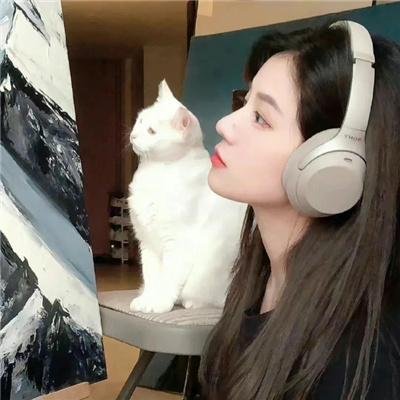 惊笑好莱坞
